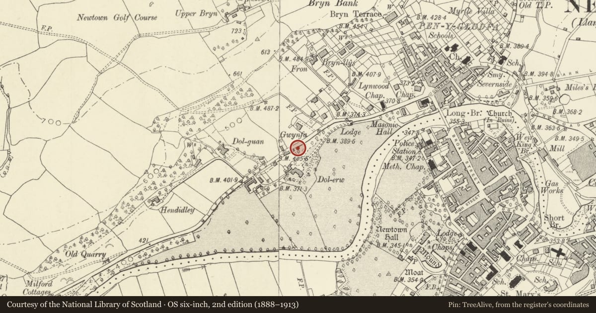 Ordnance Survey six-inch map, 2nd edition (1888–1913) covering the location of Friends Meeting House (Cwrt Plas-yn-dre), Newtown and Llanllwchaiarn, Powys, with a pin at the register's coordinates