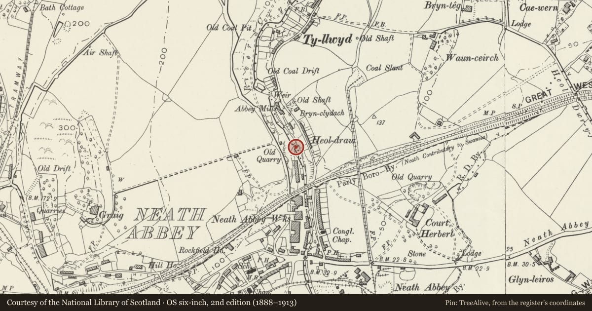 Ordnance Survey six-inch map, 2nd edition (1888–1913) covering the location of Forge tramroad bridge at Neath Abbey Ironworks, Dyffryn Clydach, Neath Port Talbot, with a pin at the register's coordinates