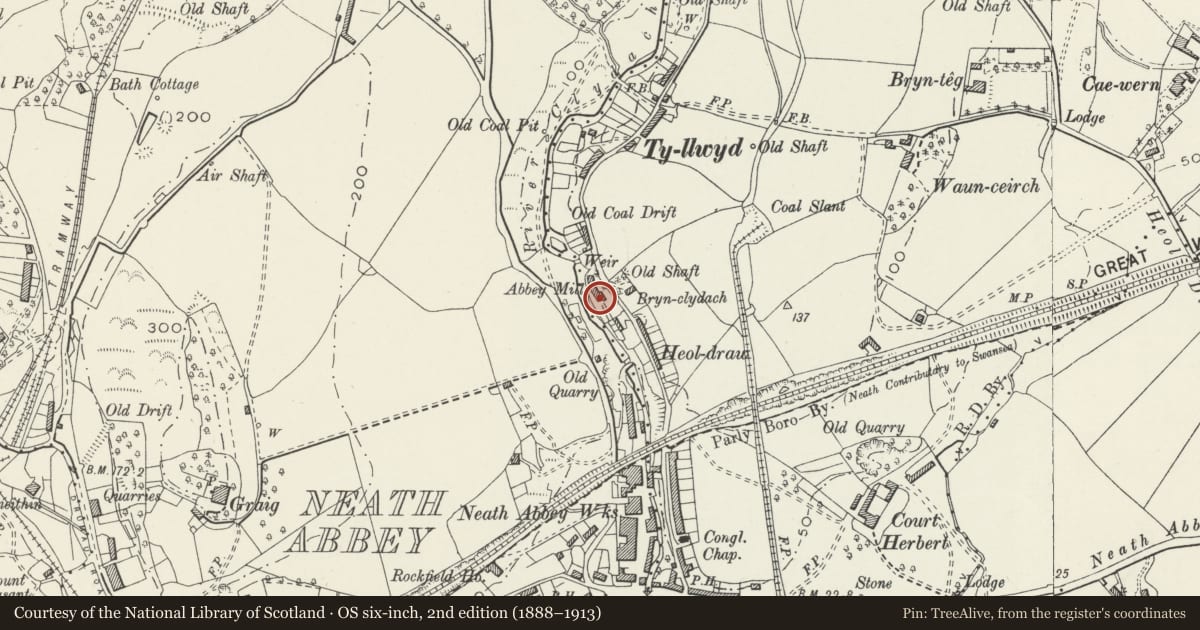 Ordnance Survey six-inch map, 2nd edition (1888–1913) covering the location of Former forge and rolling mill at Neath Abbey Ironworks, Dyffryn Clydach, Neath Port Talbot, with a pin at the register's coordinates