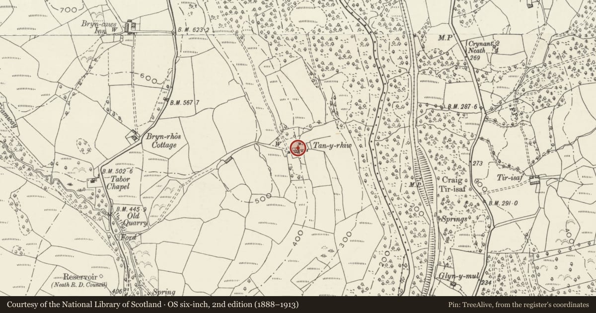 Ordnance Survey six-inch map, 2nd edition (1888–1913) covering the location of Goose rearing shelters and mounting block at Tan-y-rhiw, Blaenhonddan, Neath Port Talbot, with a pin at the register's coordinates