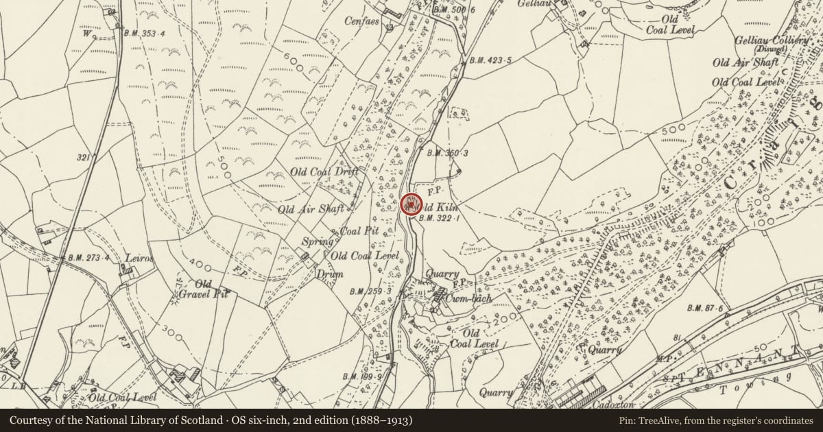 Ordnance Survey six-inch map, 2nd edition (1888–1913) covering the location of Limekiln near Neath Golf Course, Blaenhonddan, Neath Port Talbot, with a pin at the register's coordinates