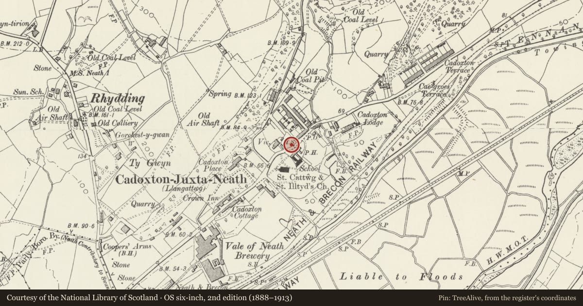 Ordnance Survey six-inch map, 2nd edition (1888–1913) covering the location of Milestone on A4230, Blaenhonddan, Neath Port Talbot, with a pin at the register's coordinates