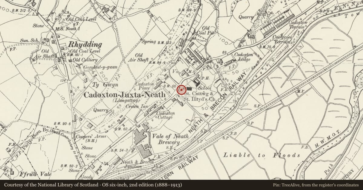 Ordnance Survey six-inch map, 2nd edition (1888–1913) covering the location of Monument in churchyard of St Cattwg, Blaenhonddan, Neath Port Talbot, with a pin at the register's coordinates