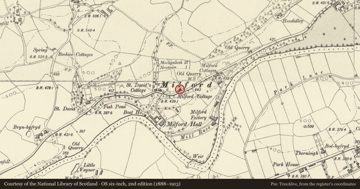 Ordnance Survey six-inch map, 2nd edition (1888–1913) covering the location of Milford Villa, Newtown and Llanllwchaiarn, Powys, with a pin at the register's coordinates
