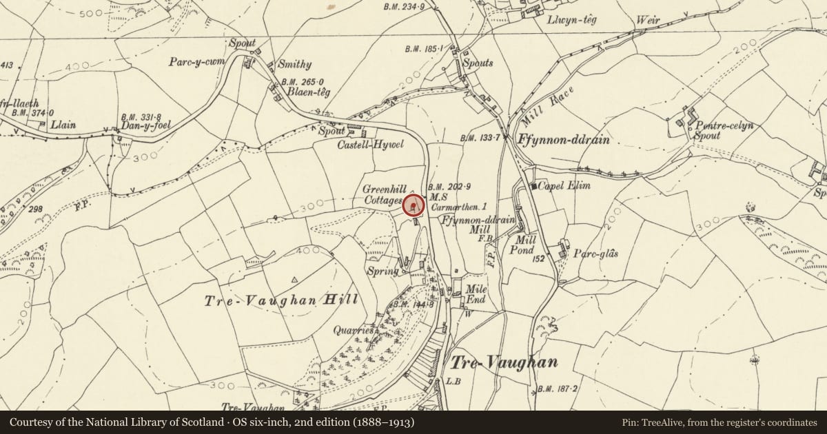 Ordnance Survey six-inch map, 2nd edition (1888–1913) covering the location of 67 Trevaughan Road, Carmarthen, Carmarthenshire, with a pin at the register's coordinates