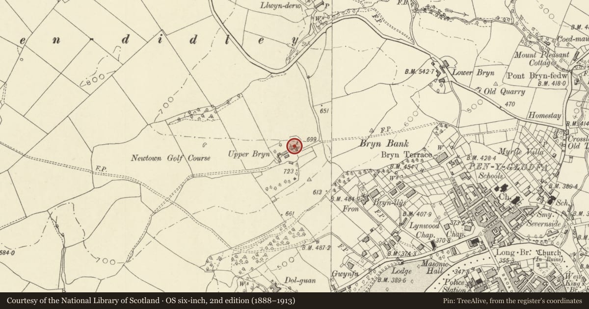 Ordnance Survey six-inch map, 2nd edition (1888–1913) covering the location of Upper Bryn, Newtown and Llanllwchaiarn, Powys, with a pin at the register's coordinates