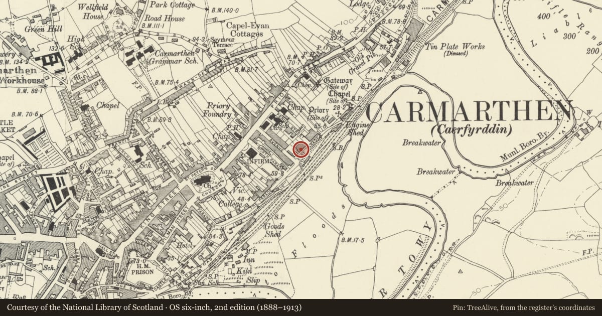 Ordnance Survey six-inch map, 2nd edition (1888–1913) covering the location of Bryn Roma, including front garden wall, railings and gate, Carmarthen, Carmarthenshire, with a pin at the register's coordinates