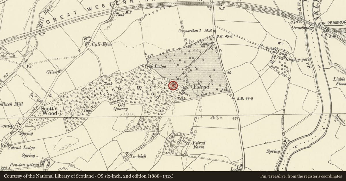 Ordnance Survey six-inch map, 2nd edition (1888–1913) covering the location of Ice house to Plas Ystrad, Coed y Plas, Carmarthen, Carmarthenshire, with a pin at the register's coordinates