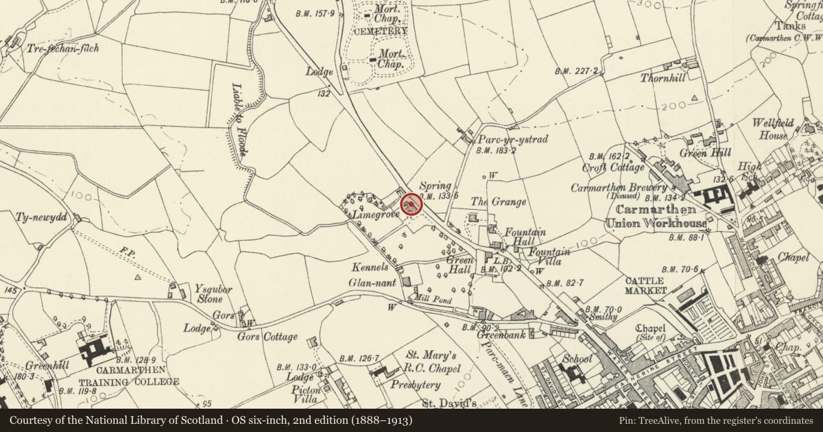 Ordnance Survey six-inch map, 2nd edition (1888–1913) covering the location of Lime Grove House, Carmarthen, Carmarthenshire, with a pin at the register's coordinates