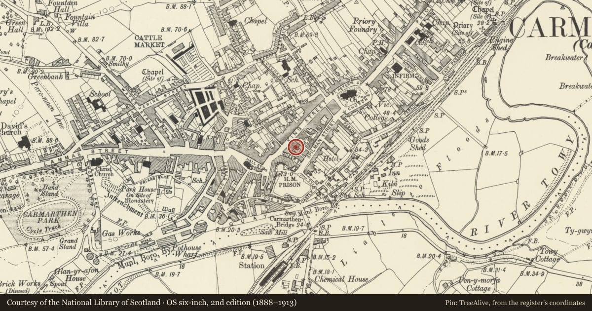 Ordnance Survey six-inch map, 2nd edition (1888–1913) covering the location of Lyric Buildings (including facade to Queen Street), Carmarthen, Carmarthenshire, with a pin at the register's coordinates