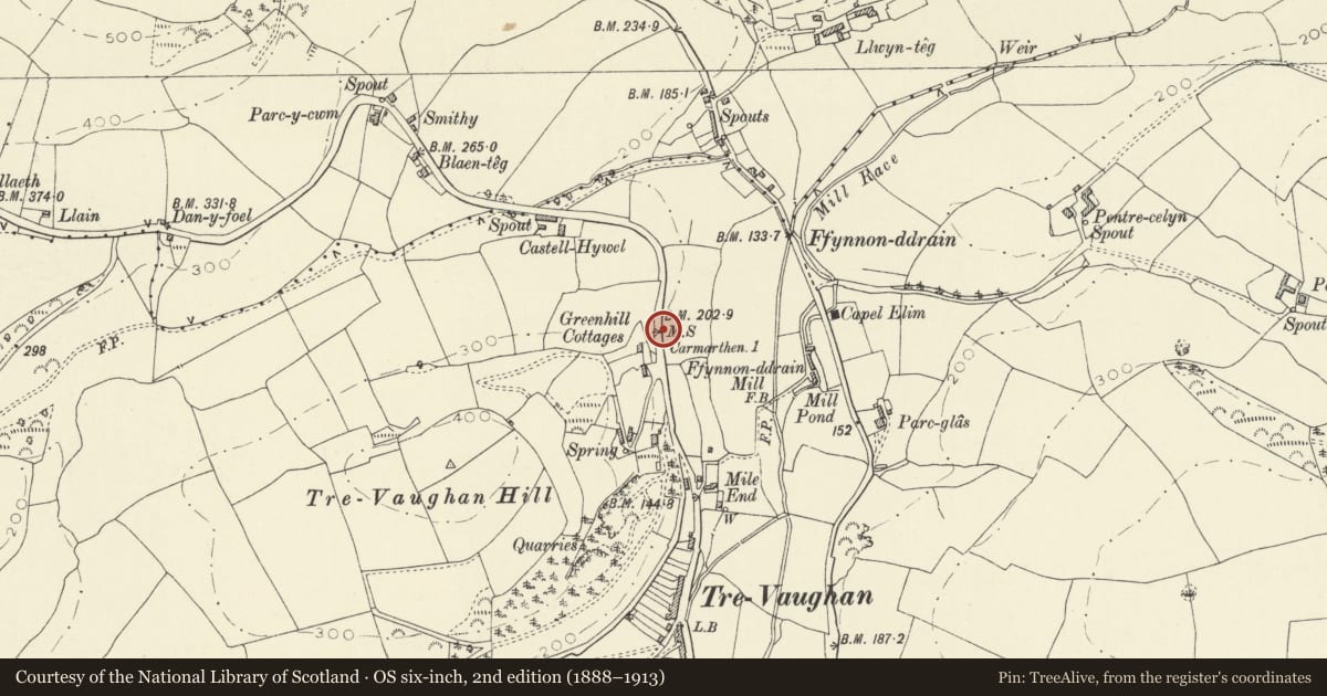 Ordnance Survey six-inch map, 2nd edition (1888–1913) covering the location of Milestone in Trevaughan, Carmarthen, Carmarthenshire, with a pin at the register's coordinates