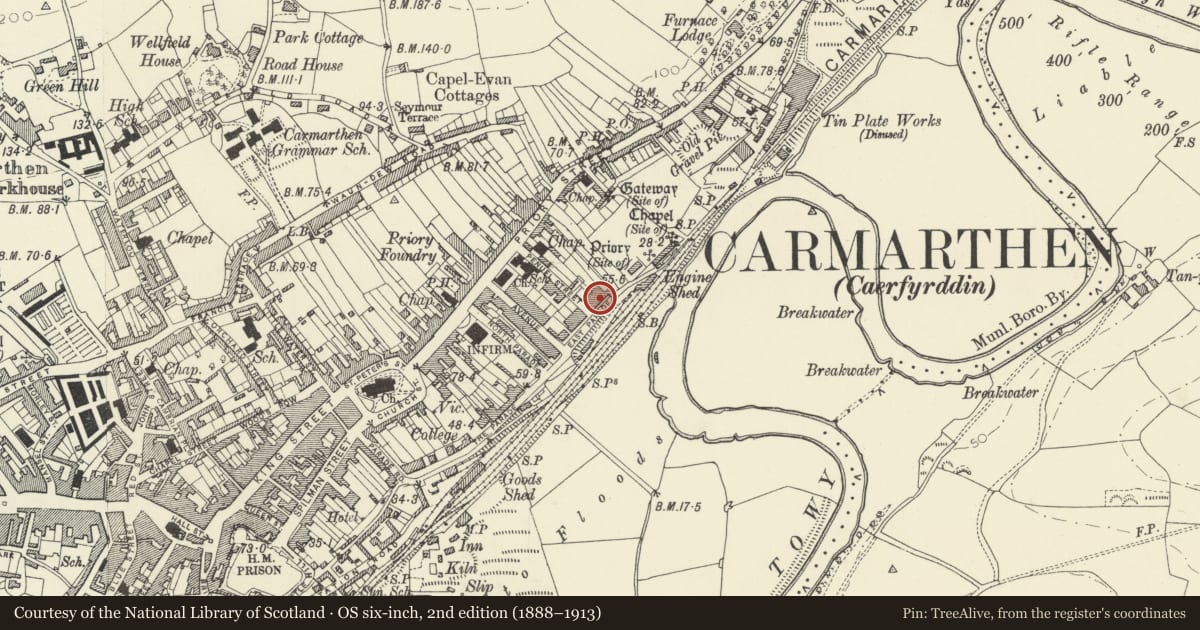 Ordnance Survey six-inch map, 2nd edition (1888–1913) covering the location of No 1 including front wall, railings and gate, Carmarthen, Carmarthenshire, with a pin at the register's coordinates