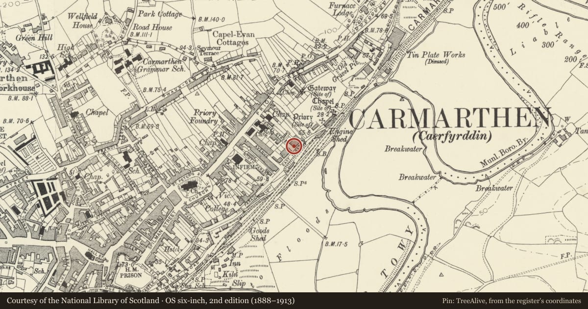 Ordnance Survey six-inch map, 2nd edition (1888–1913) covering the location of No 3, including front garden wall, railings, gate and back garden wall, Carmarthen, Carmarthenshire, with a pin at the register's coordinates