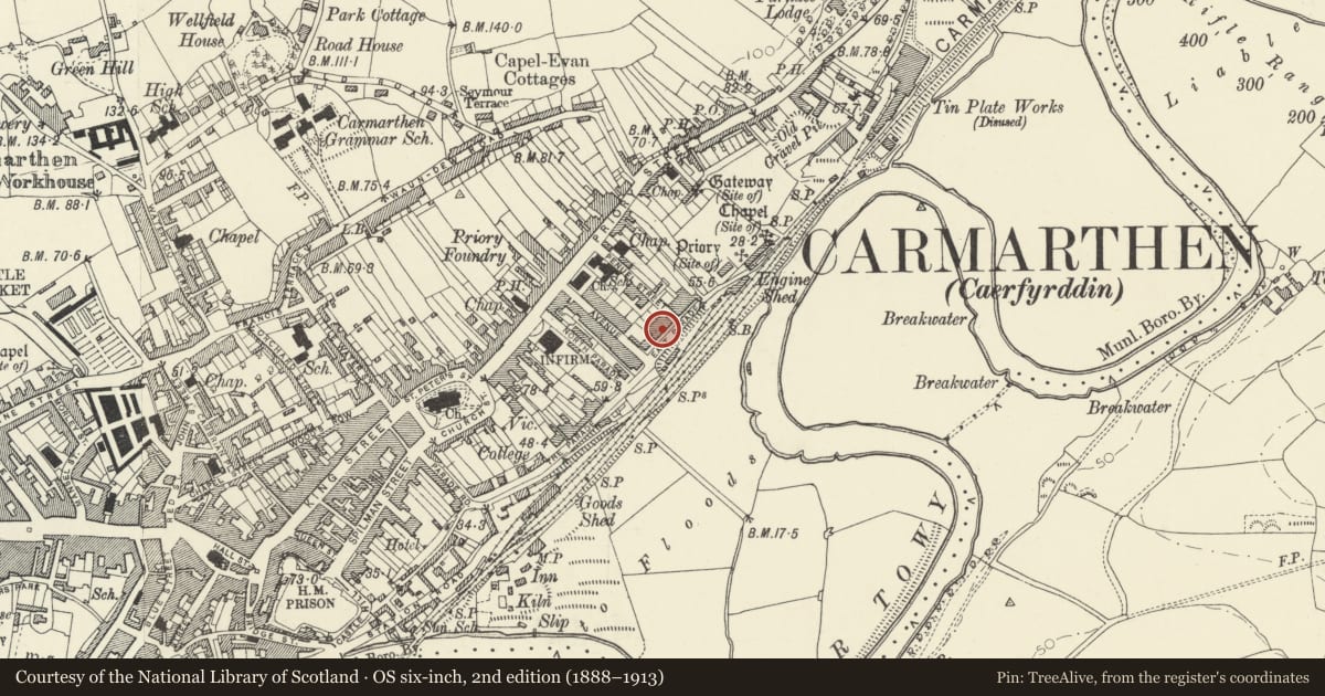 Ordnance Survey six-inch map, 2nd edition (1888–1913) covering the location of No 8, including front garden wall, gate and railings, Carmarthen, Carmarthenshire, with a pin at the register's coordinates