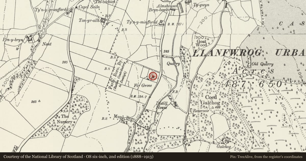 Ordnance Survey six-inch map, 2nd edition (1888–1913) covering the location of Fir Grove, Ruthin, Denbighshire, with a pin at the register's coordinates