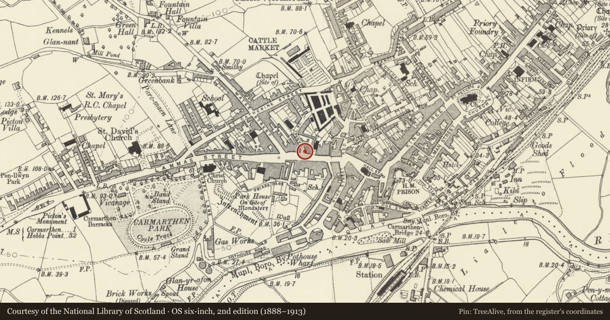 Ordnance Survey six-inch map, 2nd edition (1888–1913) covering the location of Walter Lloyd & Son Pharmacy, Carmarthen, Carmarthenshire, with a pin at the register's coordinates