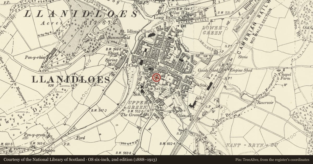Ordnance Survey six-inch map, 2nd edition (1888–1913) covering the location of Severn View, Llanidloes, Powys, with a pin at the register's coordinates