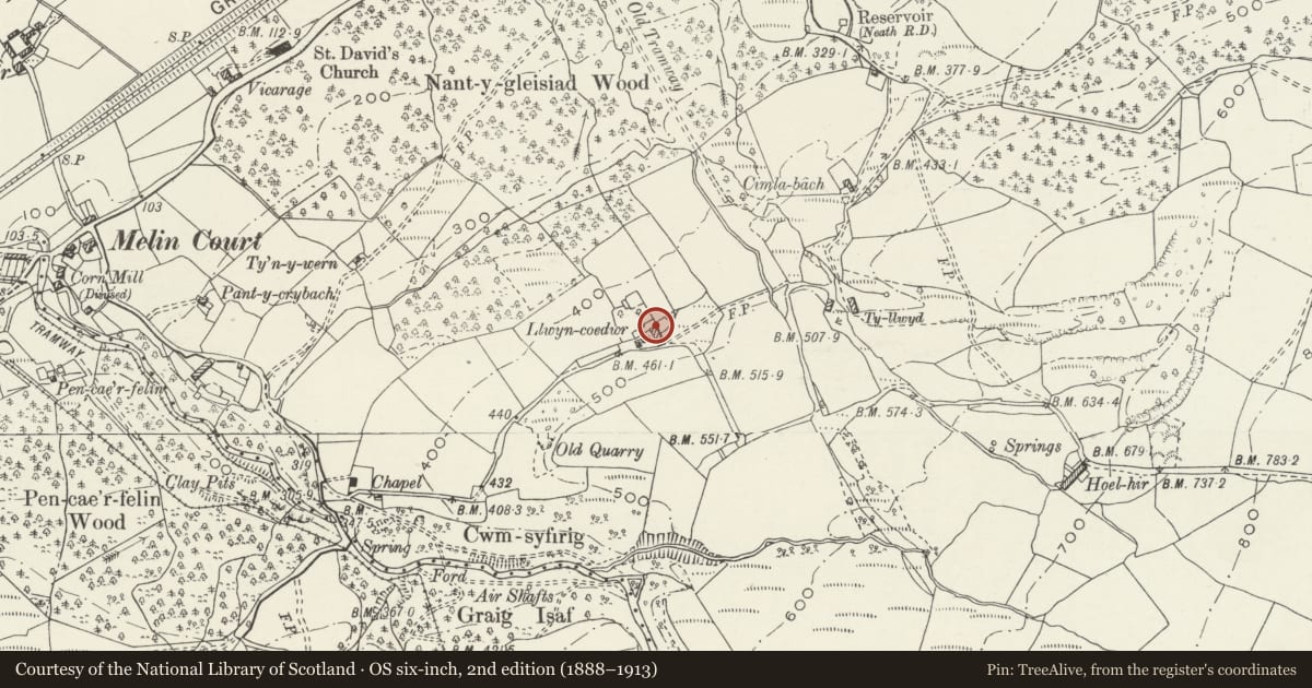 Ordnance Survey six-inch map, 2nd edition (1888–1913) covering the location of Llwyn-coedwr Farmhouse, Resolven, Neath Port Talbot, with a pin at the register's coordinates