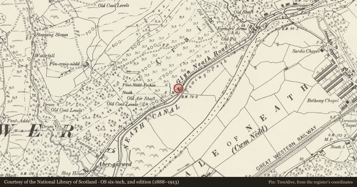 Ordnance Survey six-inch map, 2nd edition (1888–1913) covering the location of Milestone NE of Abergarwed on B4242, Resolven, Neath Port Talbot, with a pin at the register's coordinates