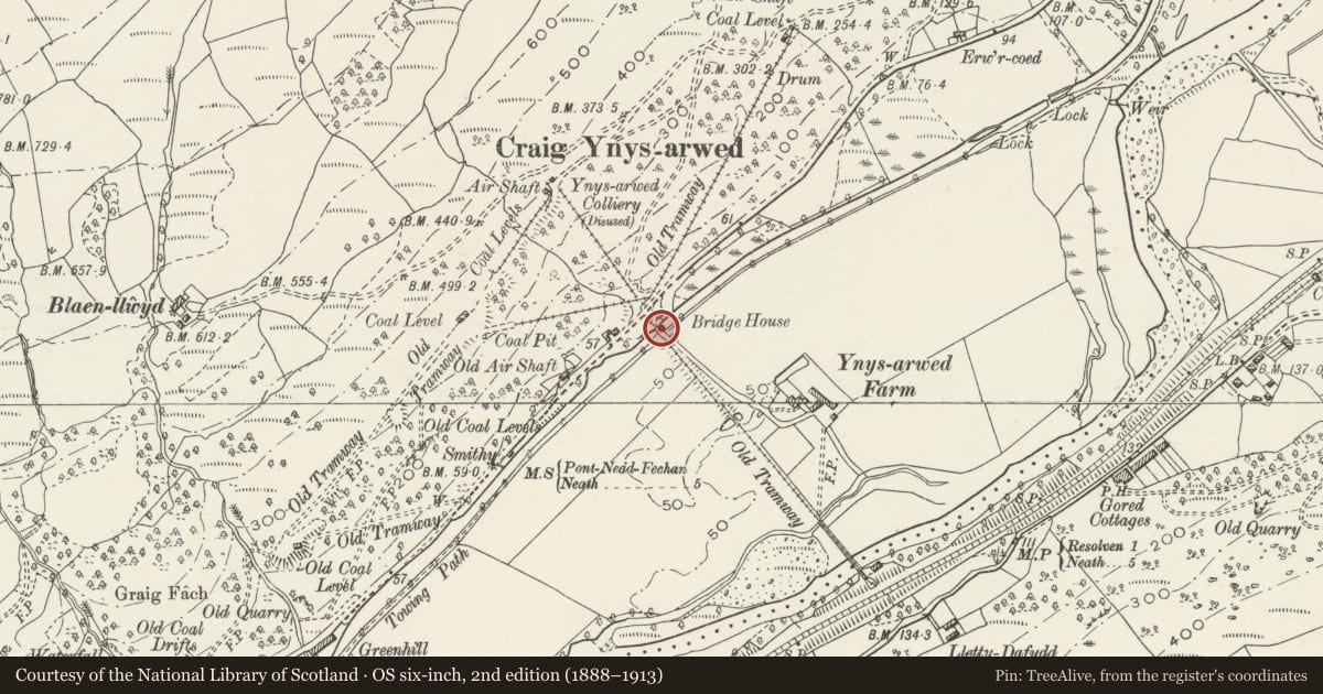 Ordnance Survey six-inch map, 2nd edition (1888–1913) covering the location of Bridge over Neath Canal at Ynysarwed, Resolven, Neath Port Talbot, with a pin at the register's coordinates