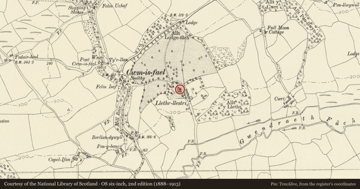 Ordnance Survey six-inch map, 2nd edition (1888–1913) covering the location of Llethr Llestri, Llanddarog, Carmarthenshire, with a pin at the register's coordinates