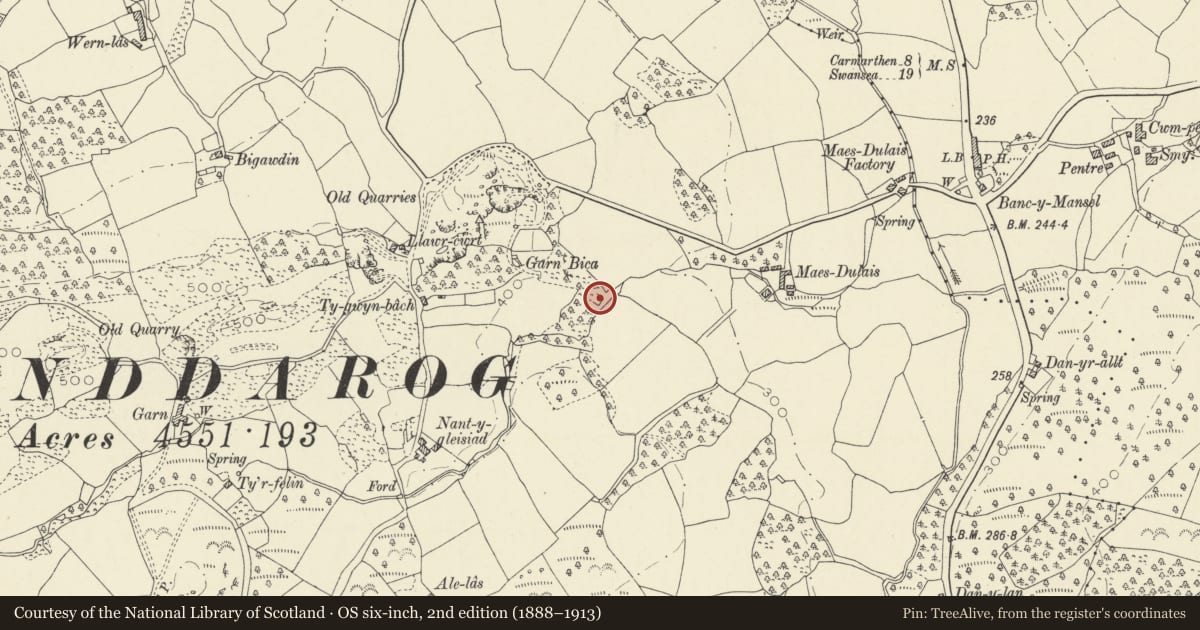Ordnance Survey six-inch map, 2nd edition (1888–1913) covering the location of Maesdulais Lime Kilns, Llanddarog, Carmarthenshire, with a pin at the register's coordinates