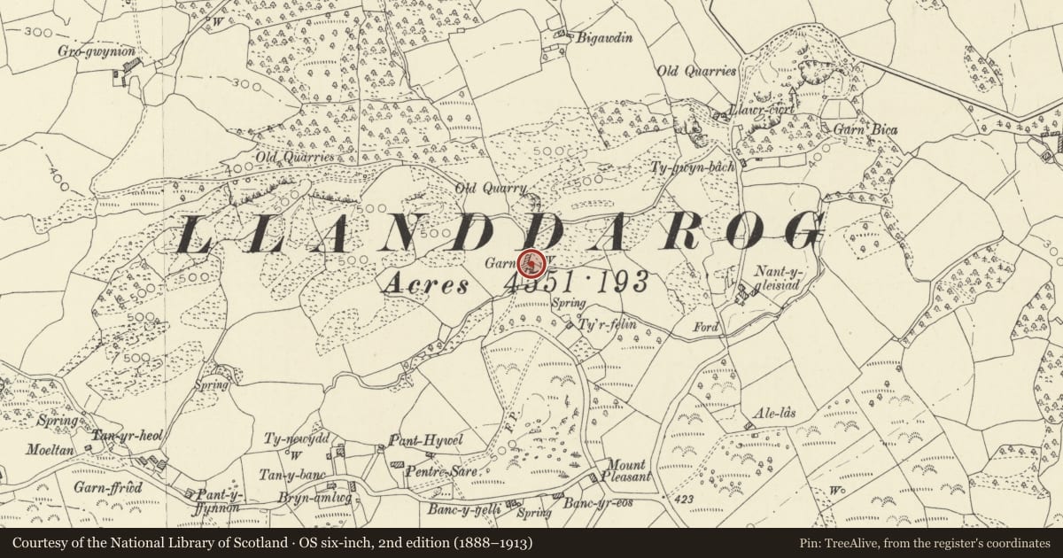 Ordnance Survey six-inch map, 2nd edition (1888–1913) covering the location of Old House at Garn Farm, Llanddarog, Carmarthenshire, with a pin at the register's coordinates