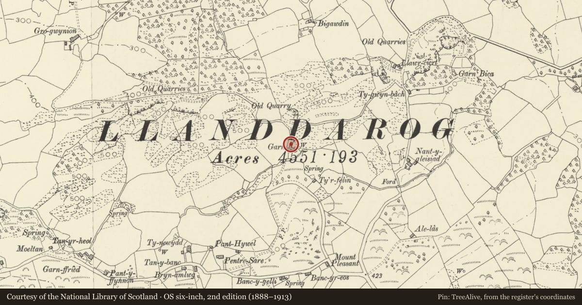 Ordnance Survey six-inch map, 2nd edition (1888–1913) covering the location of Old house, with attached cow house, at Garn Farm, Llanddarog, Carmarthenshire, with a pin at the register's coordinates