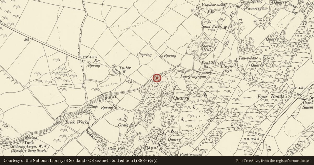 Ordnance Survey six-inch map, 2nd edition (1888–1913) covering the location of Lime kilns at Penymynydd, Llangyndeyrn, Carmarthenshire, with a pin at the register's coordinates