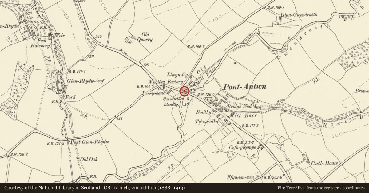 Ordnance Survey six-inch map, 2nd edition (1888–1913) covering the location of Pont Antwn, Llangyndeyrn, Carmarthenshire, with a pin at the register's coordinates