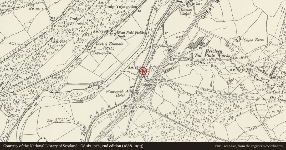 Ordnance Survey six-inch map, 2nd edition (1888–1913) covering the location of Twrch Brook culvert and overflow sluice on the Neath Canal, Clyne and Melincourt, Neath Port Talbot, with a pin at the register's coordinates