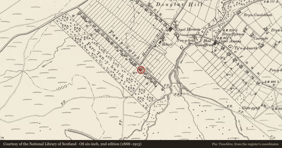Ordnance Survey six-inch map, 2nd edition (1888–1913) covering the location of 25 Tan y Bwlch, Llandygai, Gwynedd, with a pin at the register's coordinates