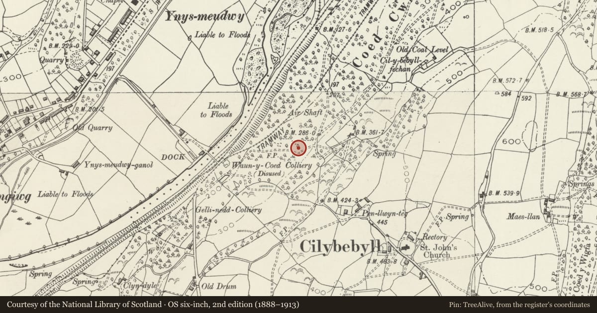 Ordnance Survey six-inch map, 2nd edition (1888–1913) covering the location of Waun Coed Colliery magazine, Cilybebyll, Neath Port Talbot, with a pin at the register's coordinates