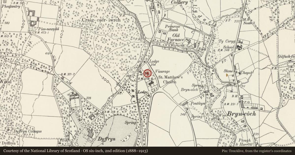 Ordnance Survey six-inch map, 2nd edition (1888–1913) covering the location of Swiss Gables, Dyffryn Clydach, Neath Port Talbot, with a pin at the register's coordinates
