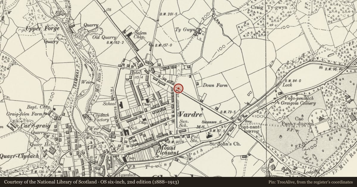 Ordnance Survey six-inch map, 2nd edition (1888–1913) covering the location of Milestone on NE side of Vardre Road, Clydach, Swansea, with a pin at the register's coordinates