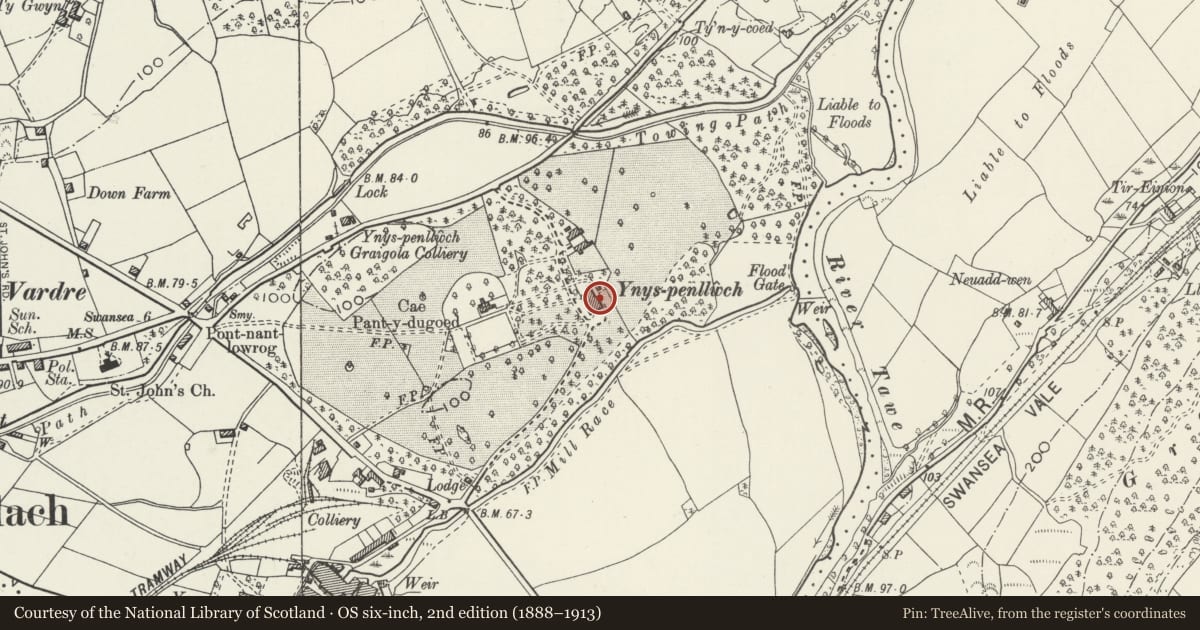 Ordnance Survey six-inch map, 2nd edition (1888–1913) covering the location of Manor Park Country House, Clydach, Swansea, with a pin at the register's coordinates