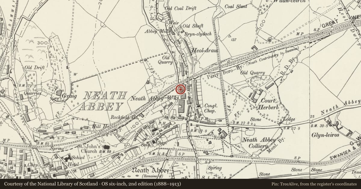 Ordnance Survey six-inch map, 2nd edition (1888–1913) covering the location of No. 1 Blast Furnace at former Neath Abbey Ironworks, Dyffryn Clydach, Neath Port Talbot, with a pin at the register's coordinates