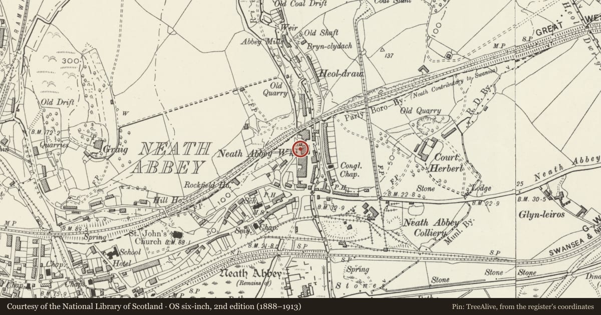 Ordnance Survey six-inch map, 2nd edition (1888–1913) covering the location of No. 2 Blast Furnace at former Neath Abbey Ironworks, Dyffryn Clydach, Neath Port Talbot, with a pin at the register's coordinates