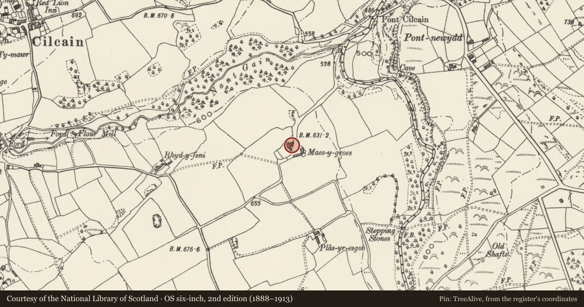 Ordnance Survey six-inch map, 2nd edition (1888–1913) covering the location of Agricultural range immediately to W of Farmhouse at Maes-y-Groes Farm, Cilcain, Flintshire, with a pin at the register's coordinates