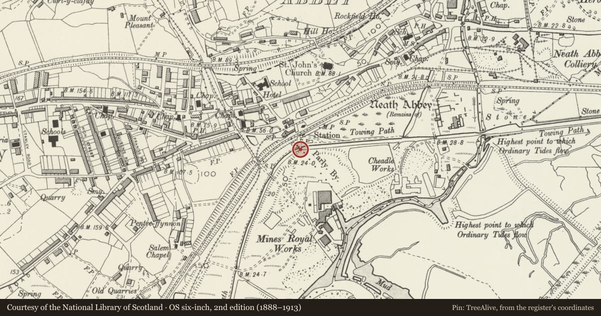 Ordnance Survey six-inch map, 2nd edition (1888–1913) covering the location of Bridge over Tennant Canal N of former Mines Royal Copper Works, Dyffryn Clydach, Neath Port Talbot, with a pin at the register's coordinates