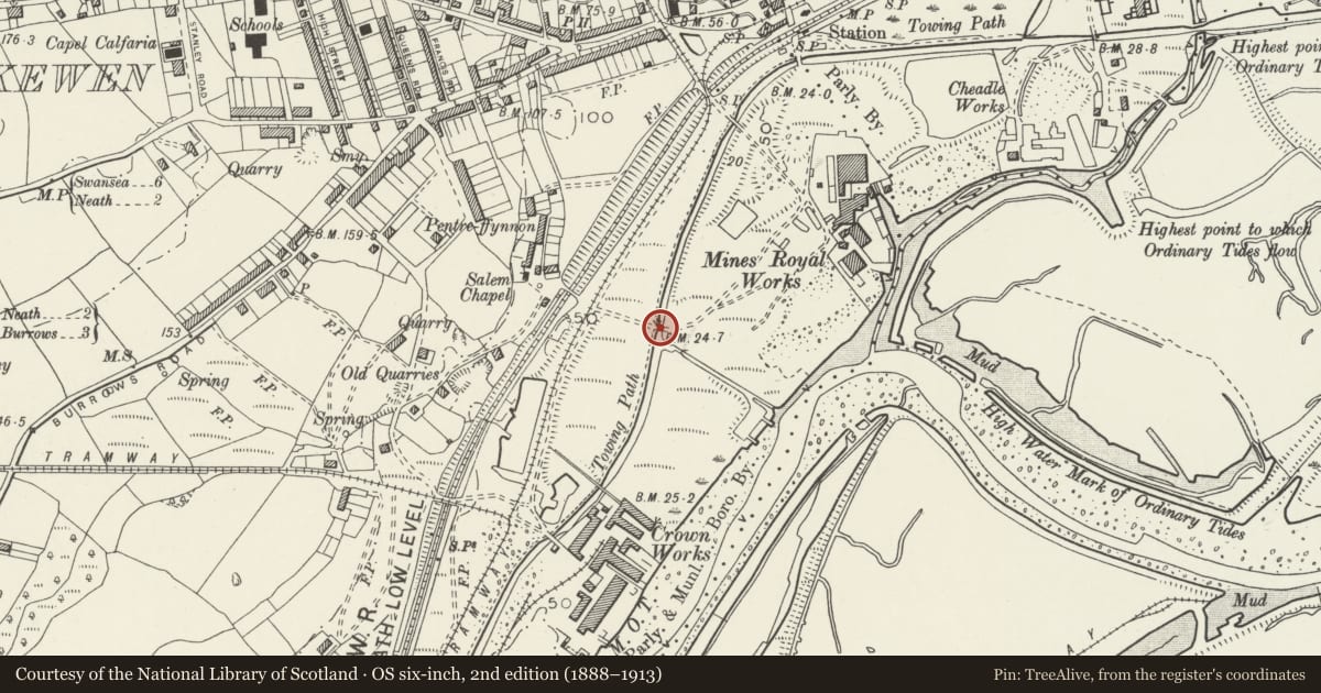 Ordnance Survey six-inch map, 2nd edition (1888–1913) covering the location of Bridge over S end of Skewen Cutting, Tennant Canal (partly in Coedffranc community), Dyffryn Clydach, Neath Port Talbot, with a pin at the register's coordinates