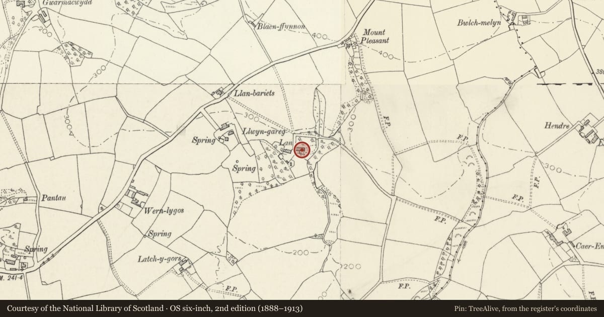 Ordnance Survey six-inch map, 2nd edition (1888–1913) covering the location of Lan, Henllanfallteg, Carmarthenshire, with a pin at the register's coordinates