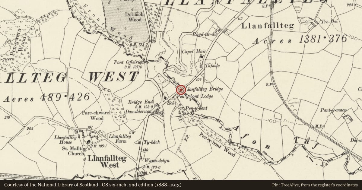 Ordnance Survey six-inch map, 2nd edition (1888–1913) covering the location of Llanfallteg Bridge, Henllanfallteg, Carmarthenshire, with a pin at the register's coordinates
