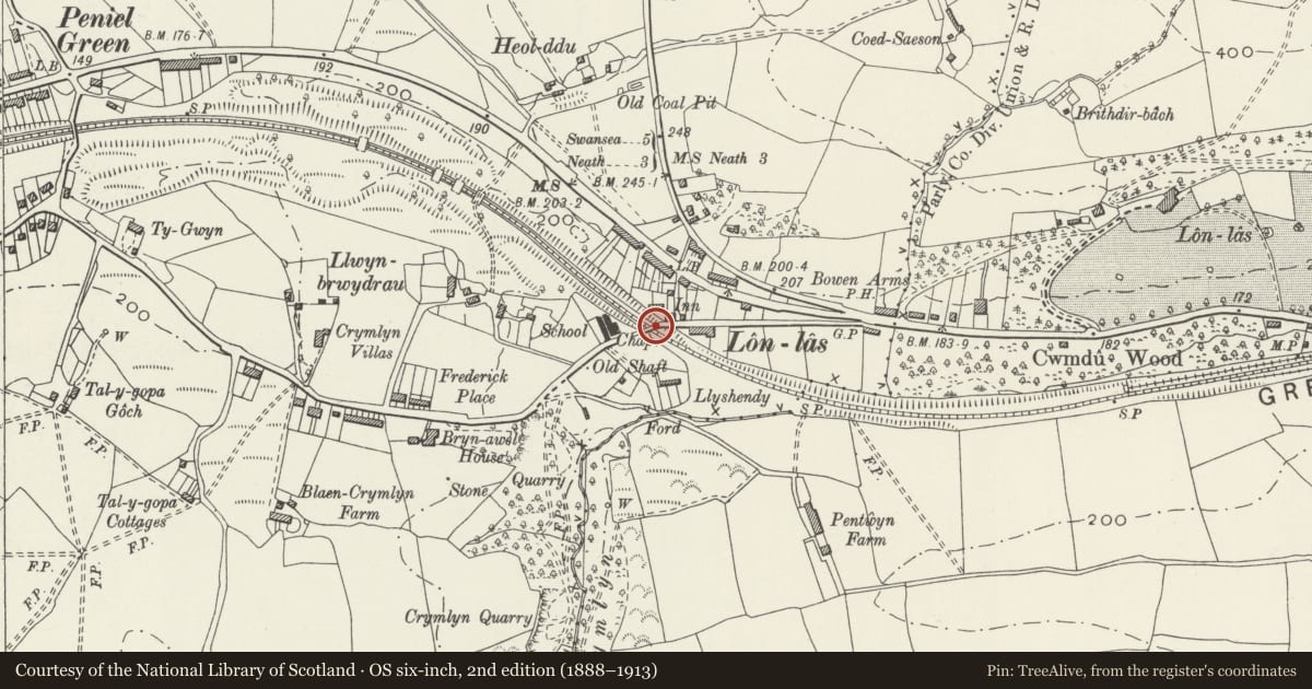 Ordnance Survey six-inch map, 2nd edition (1888–1913) covering the location of Lonlas or Llwynbrydrau bridge, Llansamlet, Swansea, with a pin at the register's coordinates
