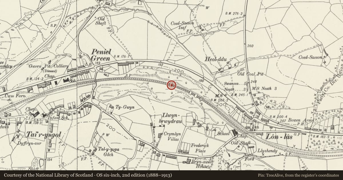 Ordnance Survey six-inch map, 2nd edition (1888–1913) covering the location of First arch over South Wales Railway at Peniel Green, Llansamlet, Swansea, with a pin at the register's coordinates