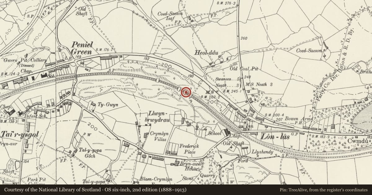 Ordnance Survey six-inch map, 2nd edition (1888–1913) covering the location of Third arch over South Wales Railway at Peniel Green, Llansamlet, Swansea, with a pin at the register's coordinates
