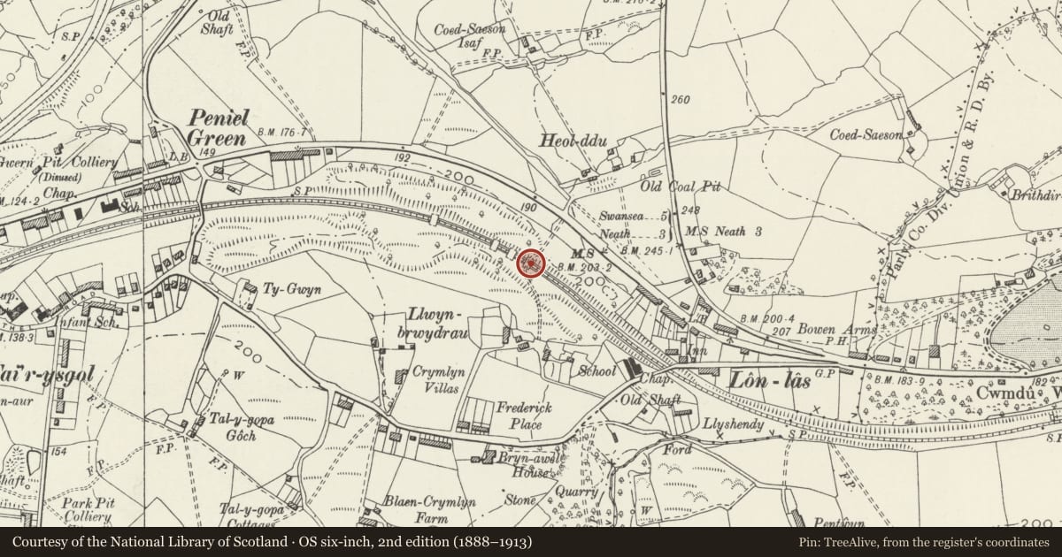 Ordnance Survey six-inch map, 2nd edition (1888–1913) covering the location of Fourth arch over South Wales Railway at Peniel Green, Llansamlet, Swansea, with a pin at the register's coordinates