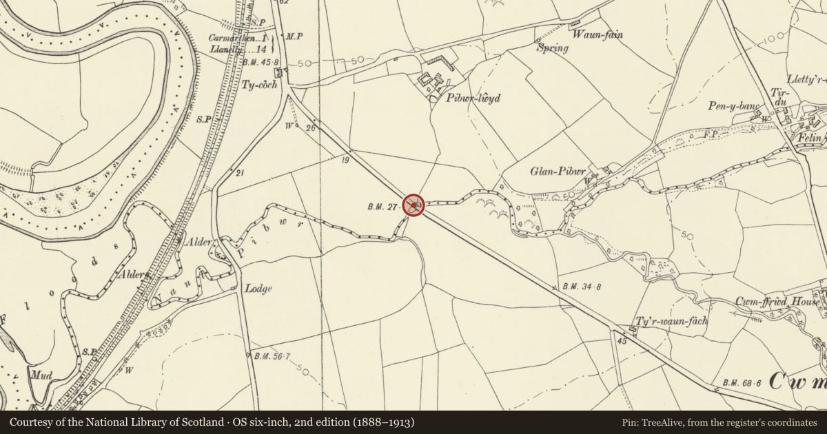 Ordnance Survey six-inch map, 2nd edition (1888–1913) covering the location of Bridge W of A484, Llangunnor, Carmarthenshire, with a pin at the register's coordinates