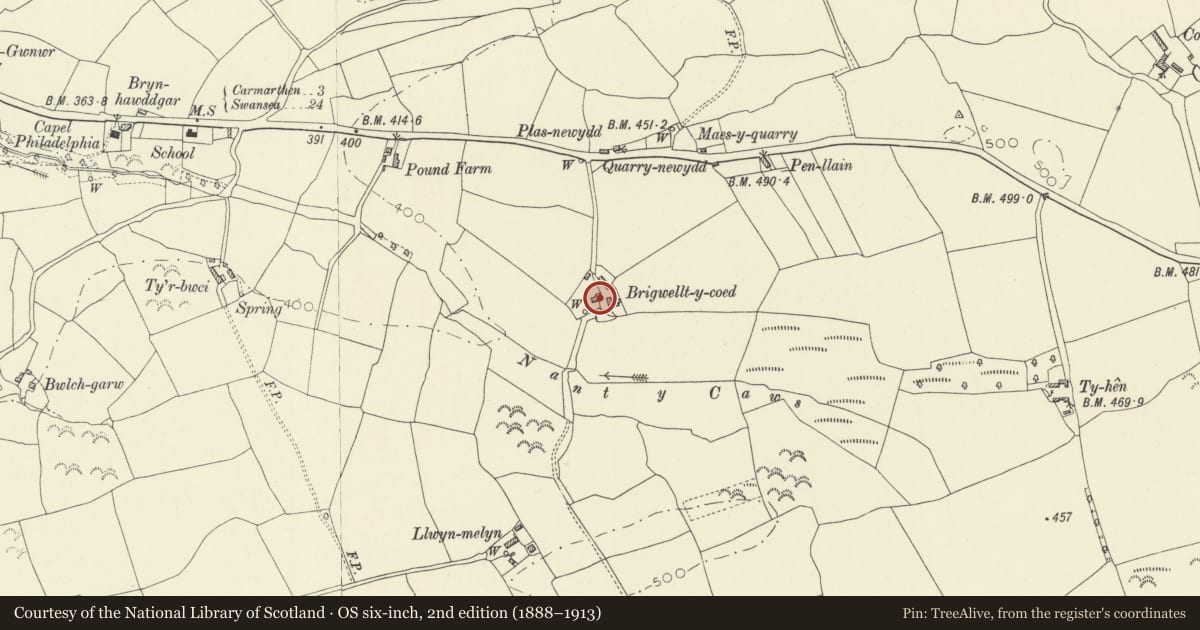 Ordnance Survey six-inch map, 2nd edition (1888–1913) covering the location of Brigwallt y Coed, Llangunnor, Carmarthenshire, with a pin at the register's coordinates
