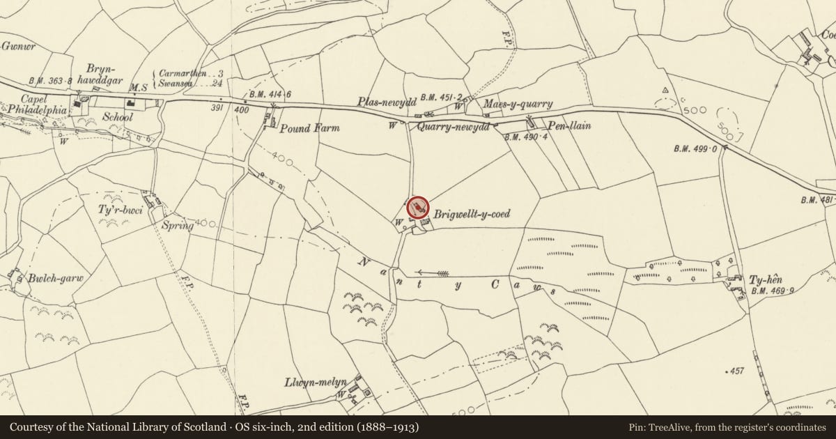 Ordnance Survey six-inch map, 2nd edition (1888–1913) covering the location of Cow house at Brigwallt y Coed, Llangunnor, Carmarthenshire, with a pin at the register's coordinates